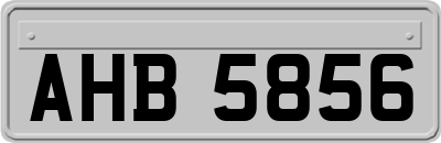 AHB5856