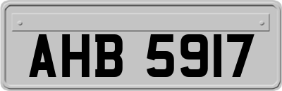 AHB5917
