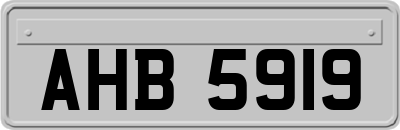 AHB5919