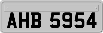 AHB5954