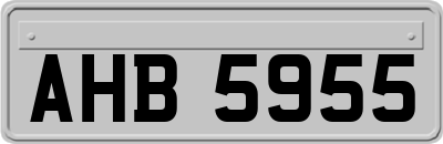 AHB5955