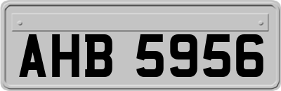 AHB5956