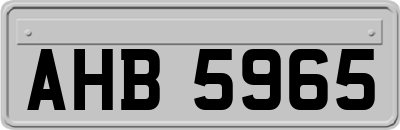 AHB5965
