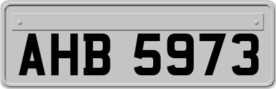AHB5973