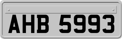 AHB5993