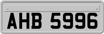 AHB5996