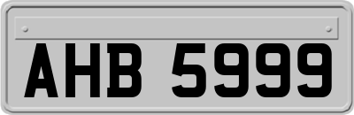 AHB5999