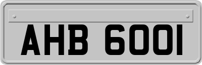 AHB6001