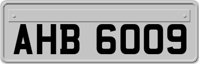 AHB6009