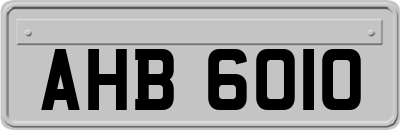 AHB6010