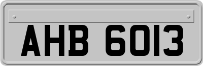 AHB6013