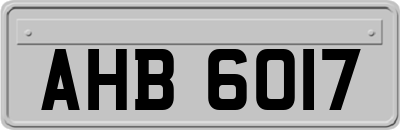 AHB6017
