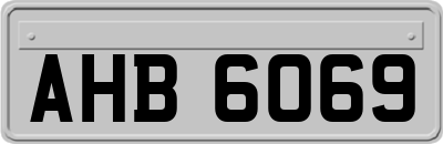 AHB6069