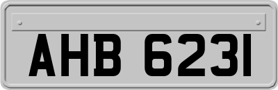 AHB6231