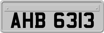 AHB6313