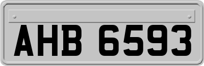 AHB6593