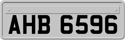 AHB6596