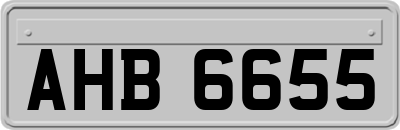 AHB6655