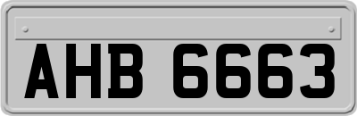 AHB6663