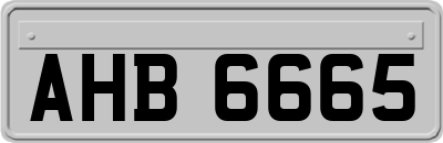 AHB6665