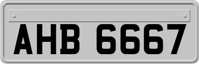 AHB6667