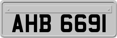 AHB6691