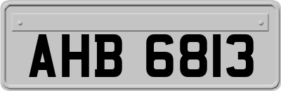 AHB6813