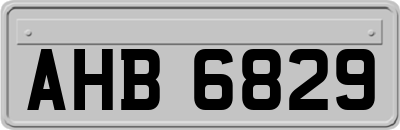 AHB6829