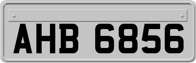 AHB6856