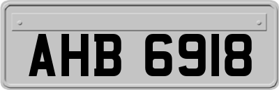 AHB6918