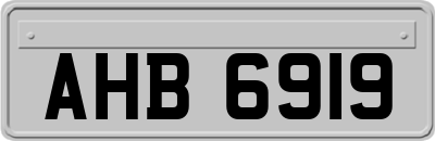 AHB6919