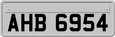 AHB6954