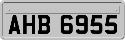 AHB6955