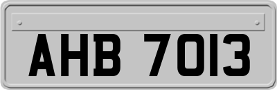 AHB7013