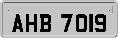 AHB7019