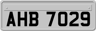 AHB7029
