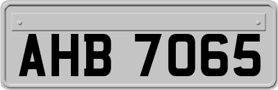 AHB7065