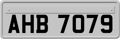 AHB7079