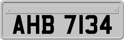 AHB7134