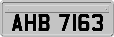 AHB7163