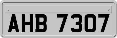 AHB7307