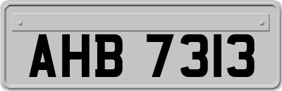 AHB7313