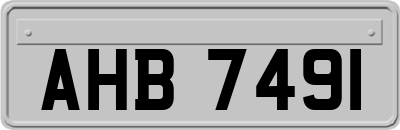 AHB7491