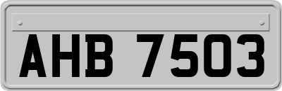 AHB7503