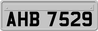 AHB7529
