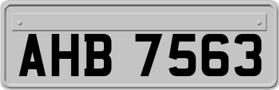 AHB7563