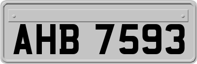 AHB7593
