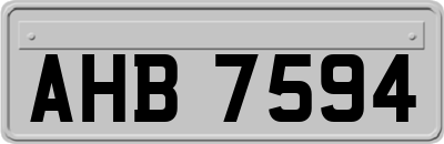 AHB7594