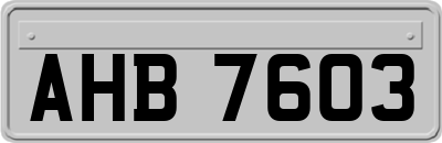 AHB7603