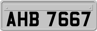 AHB7667